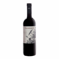 2022 Toscana Syrah "LODOLAIA" IGT