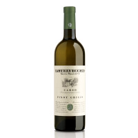 2024 Pinot Grigio Vino Bianco DOC