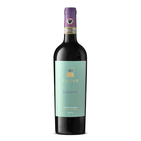 2018 Chianti Classico Gran Selezione "Gaudio" DOCG