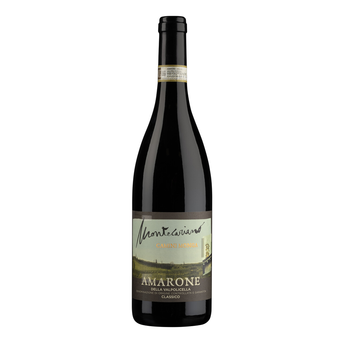 2019 Amarone Valpolicella Classico "Camini...
